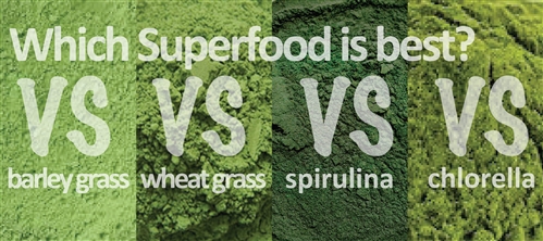 Which superfood in best